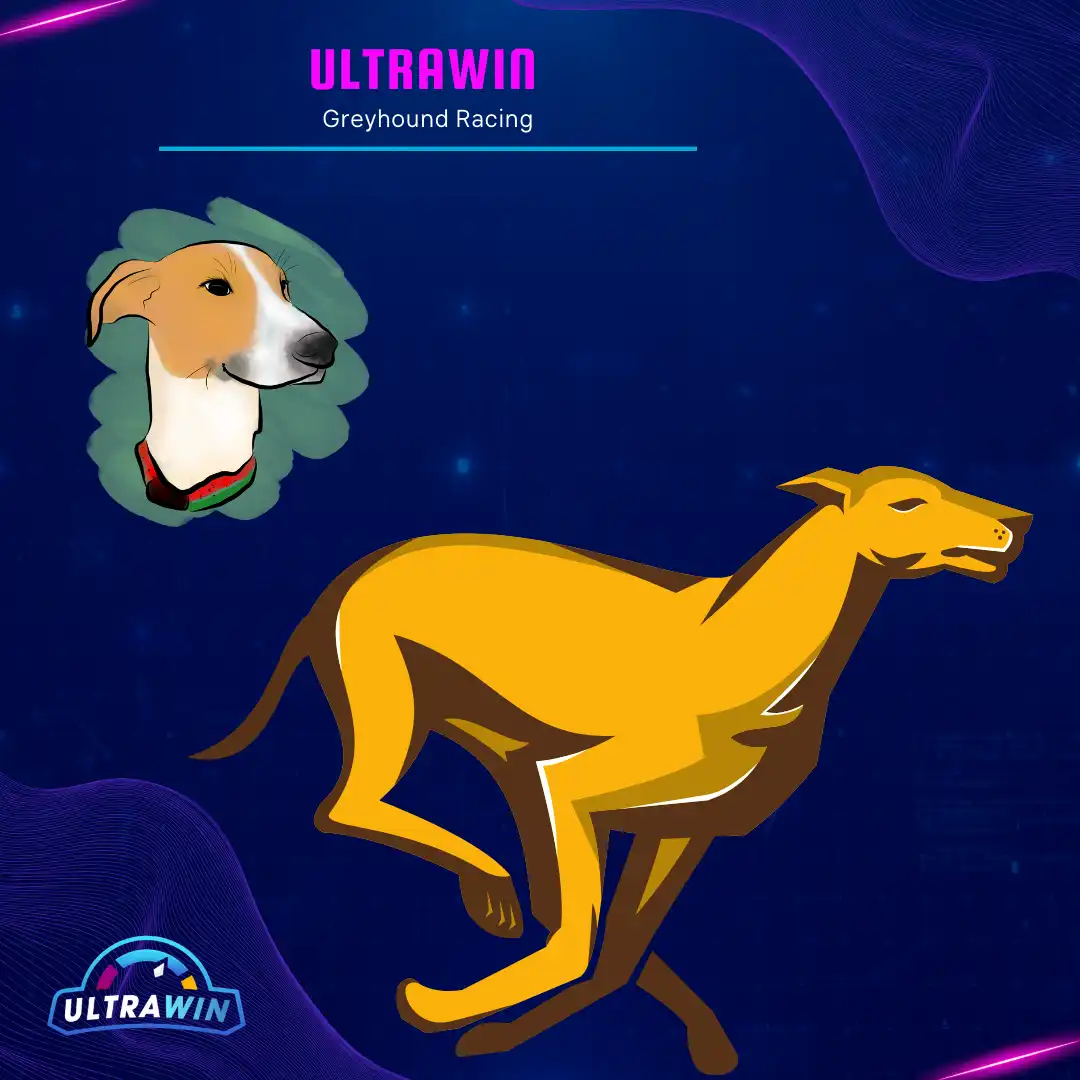 ultrawin greyhound racing